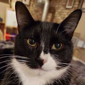 Meet your Posher, Julie